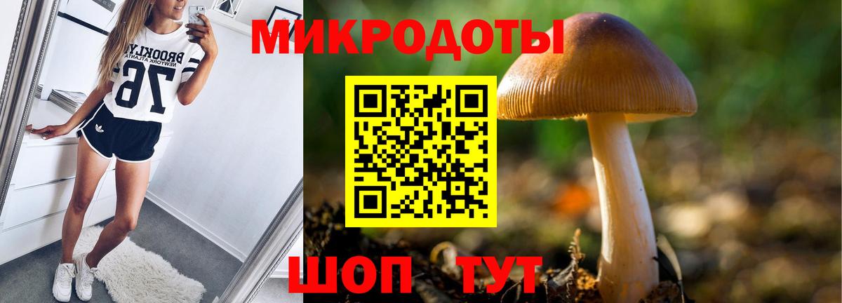 Псилоцибиновые грибы GOLDEN TEACHER Гудермес